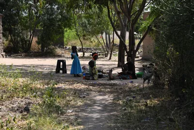 DSC_2954 (Large).JPG